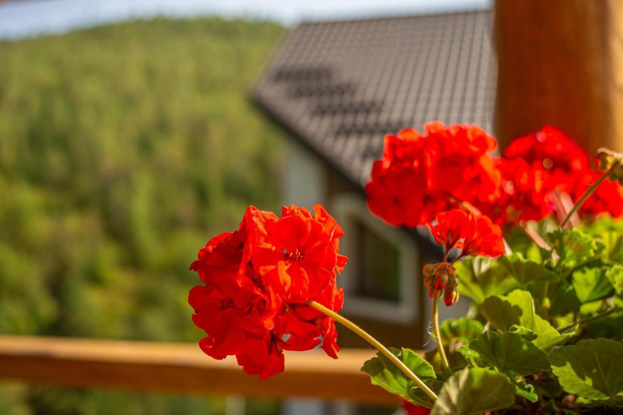 Konopka Guest House Bukoveľ Exteriér fotografie